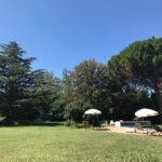 Vue piscine et parc